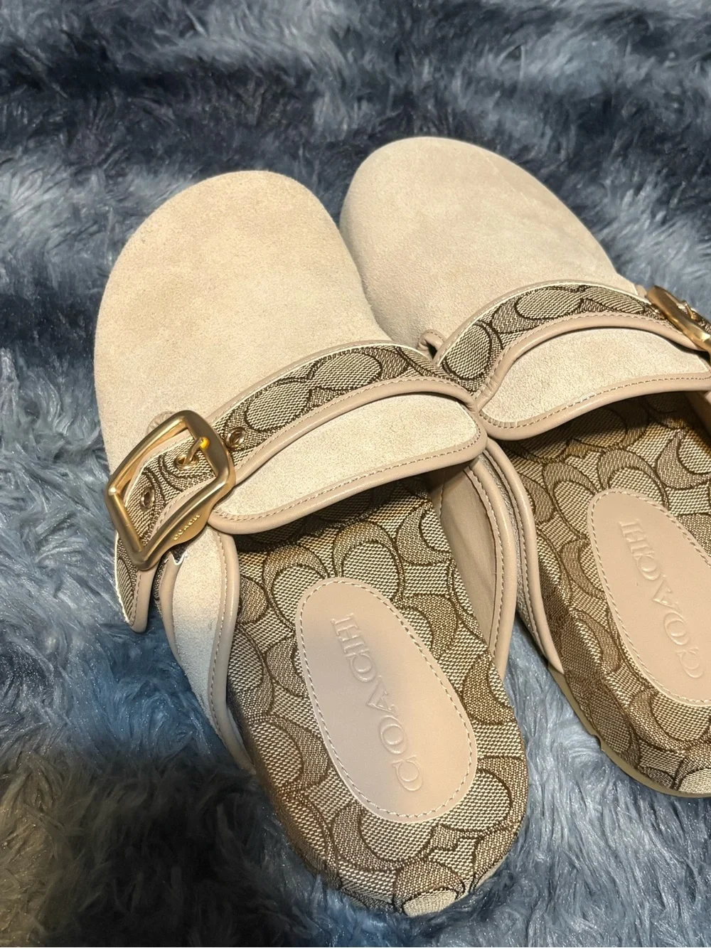 Archival Buckle Clog